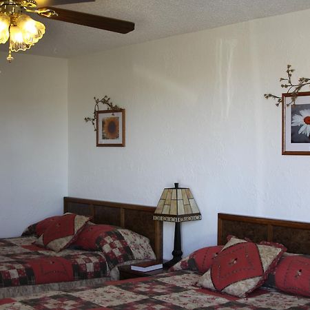 Sleep For Less Motel Sidney Exterior foto
